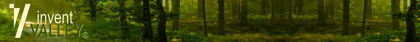 inventVALLEY Software
